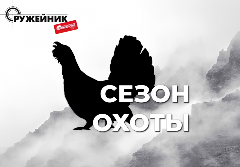Открытие весенней охоты на пернатую дичь: сроки и нормы добычи в 2026 году