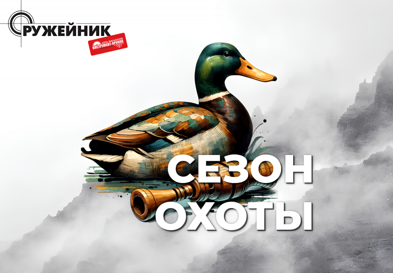 С 19 апреля в Пермском крае открывается весенняя охота на селезней уток с подсадными утками