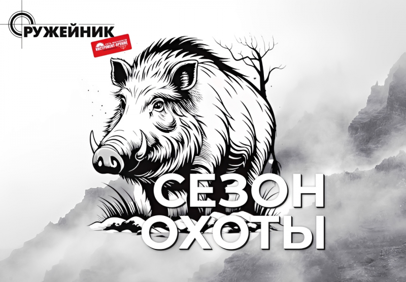 С 1 августа открыт сезон охоты на кабана в общедоступных угодьях