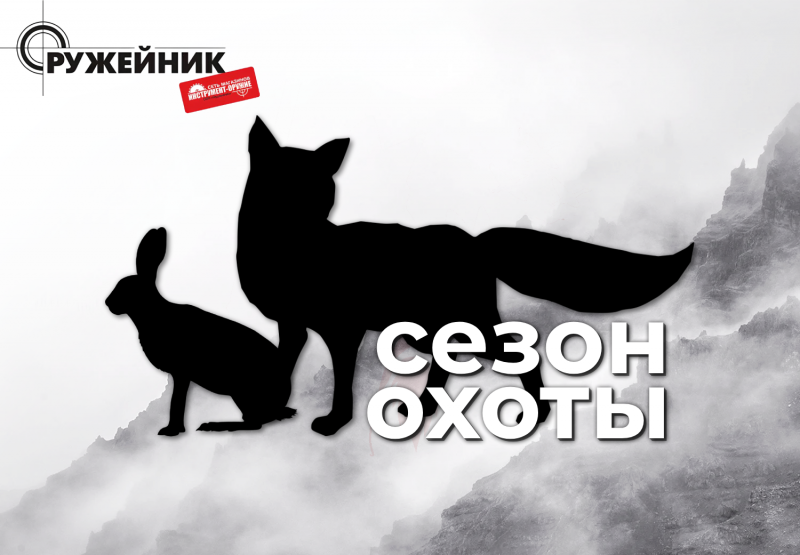 Сезон охоты на зайца, лисицу и енотовидную собаку в Пермском крае стартует 15 сентября