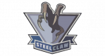 SteelClaw