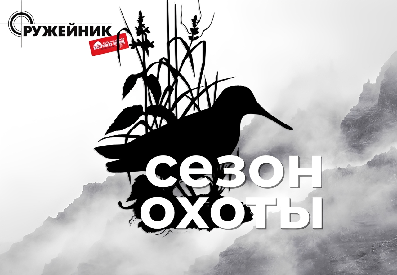 Сезон охоты на болотно-луговую дичь 2026: сроки и правила Сезон охоты на болотно-луговую дичь 2026: сроки и правила