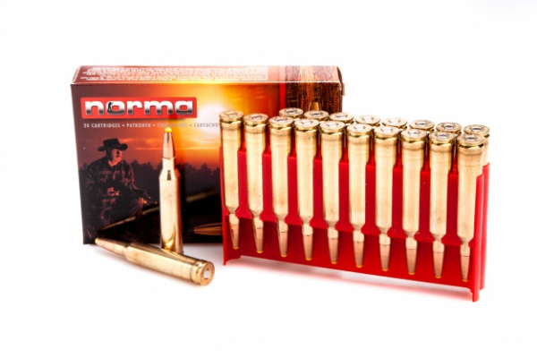 Патрон охотничий к.308Win Norma PPDC 11,7 г.