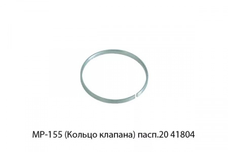 11019488.jpg